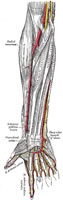 Angioplasty.Org Image